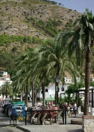 El Escudo De *